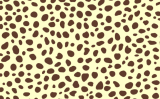 015 CHEETAH