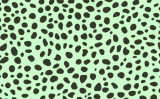 015-A CHEETAH(A)