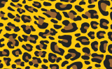 016 LEOPARD