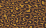 016-A LEOPARD(A)